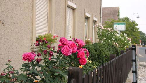 Zum Alten König - Foto 2