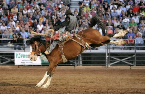 Heritage House-Skiing close,Walk to Main St,Roomy - Foto 64