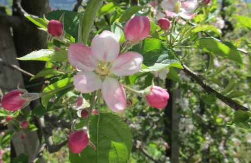 Brugger Hof - Foto 27