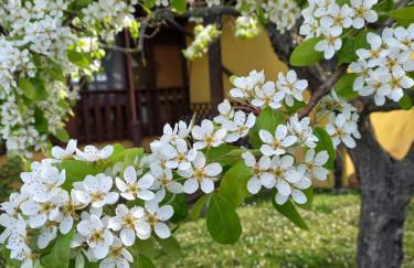 Agriturismo Il Mio Casale - Foto 19