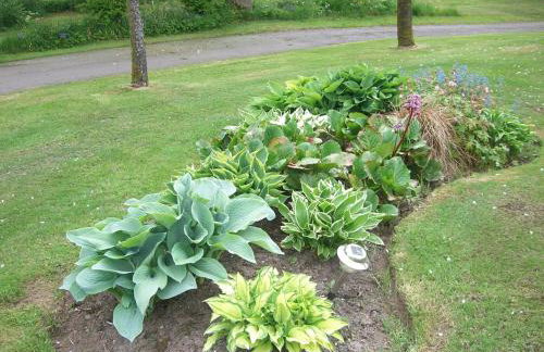 Loaninghead Holidays - Foto 37