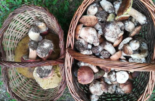 Allotjaments Vall de Muntanyes - Foto 34