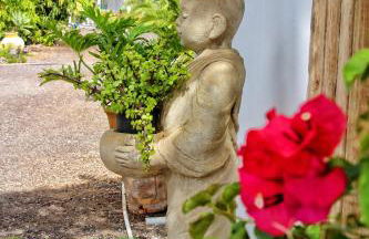 FINCA BEROLO 1 - Foto 34