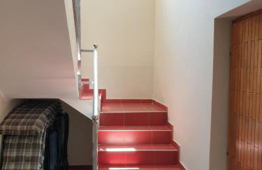 OLIVA DOM Čista Mala - Foto 18