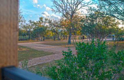 Charming Cabin in the Heart of the TX Hill Country - Photo 34