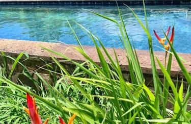 North Shore Garden Studio - Foto 32