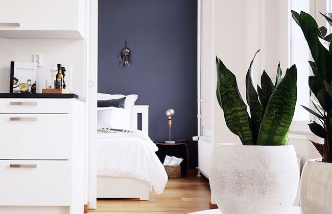 Roost Munkkisaari - Foto 2