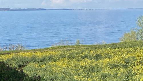 Ferienwohnung mit Meerblick - a68536 - Foto 3