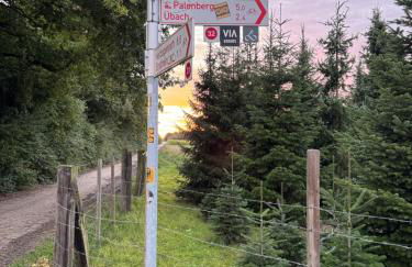 Beim Goldenen Dackel -Atelierhaus im Hof - Foto 45