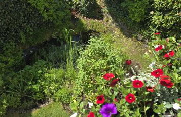 Ferienwohnung Zum Rosengarten Driedorf 3 Sterne Unterkunft im Westerwald mit Komfort & zentraler Lage - Foto 27