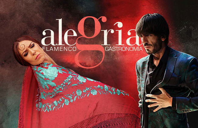 Espetáculo de flamenco no Alegría - Foto 23