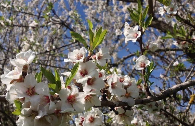 Quinta da Pereira - Foto 20