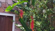 Oforasteiro - Photo 4