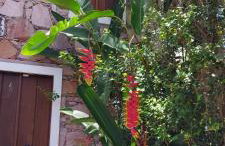 Oforasteiro - Foto 4