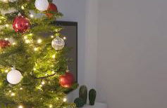 Casa Semplice - Foto 2