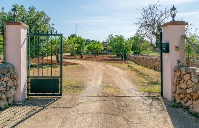 Can Fiolet in Algaida - Foto 31