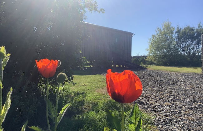 Bespoke Hand Built Shepherds Hut in Dunbeath - Foto 23