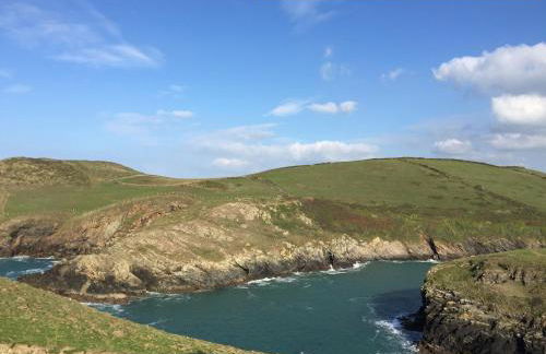 Hollyhocks - Foto 17