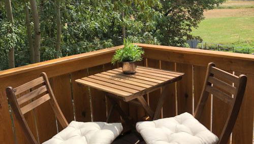 Meine Ferienwohnung Pleissenhaus - Foto 3, Garden view