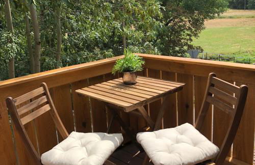 Meine Ferienwohnung Pleissenhaus - Foto 3