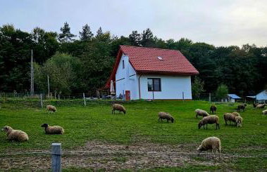 Agroturystyka Stara Huta - Domek Boho - Foto 25