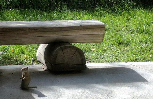 Spectacular Mountain Condo - Foto 20