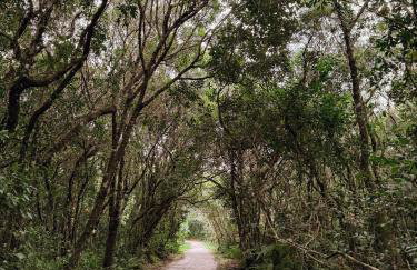 Bela Vista - Casa Beira Mar - Foto 25