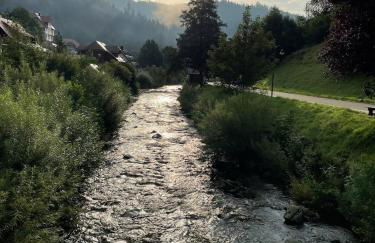 Ferienhaus Oesterle - Idyllisches Schwarzwaldhaus am Bach mit Terrasse & Balkon - Foto 16