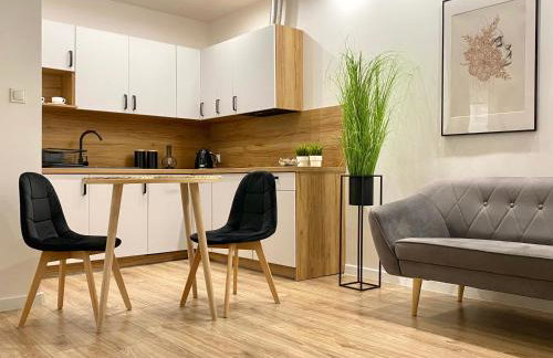 Nowoczesny Apartament w Dzierżoniowie - parter - balkon - pokój + sypialnia - Foto 1