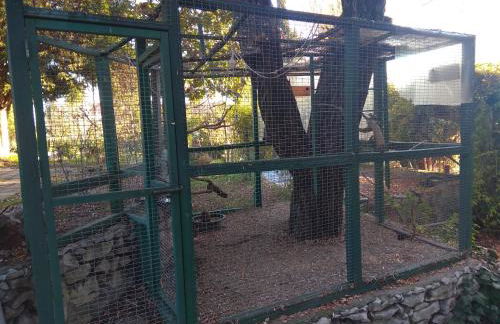 Casa dos Arrábidos - Foto 26