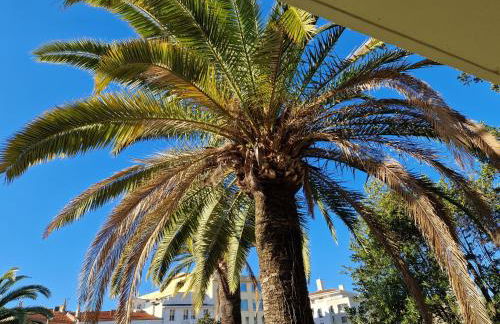 Cannes près Croisette beau 2 pièces 3 étoiles - Foto 10
