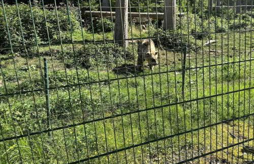 Holiday home with 5 bedrooms - Foto 26