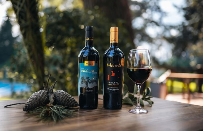 Complejo Turístico Valle del Sol Quillón - Foto 32