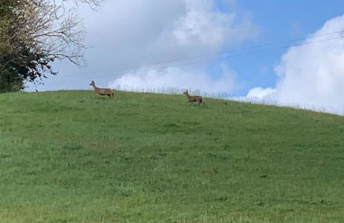 Ideally located Luxury Country Escape-The Lookout-with private garden dog friendly and private hot tub - Foto 29