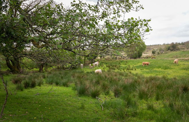 Bay View House - Foto 28