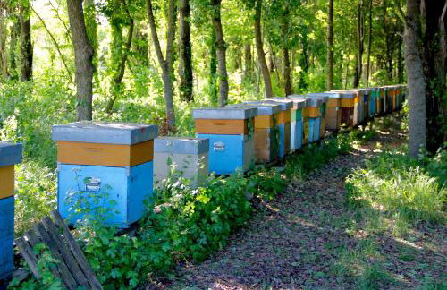 Palazzo Minelli - Foto 68