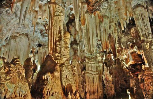 Jardines de Viana - Foto 77