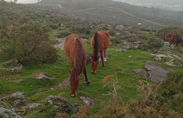 A Casa da Rianxeira - Foto 4