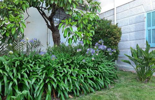 Casa Gazzano - Photo 43