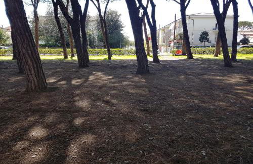 Il Don Minzoni 98 "Casa Vacanze" - Foto 45