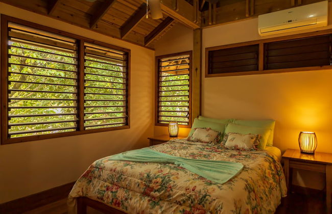 Tropical Breeze - Foto 15