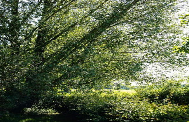 Cozy Countryside Getaway - Foto 35