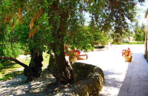 Terre Di Vendicari - Photo 53