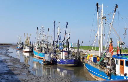 Ferienwohnung Alea, Zentrumsnah - Foto 17