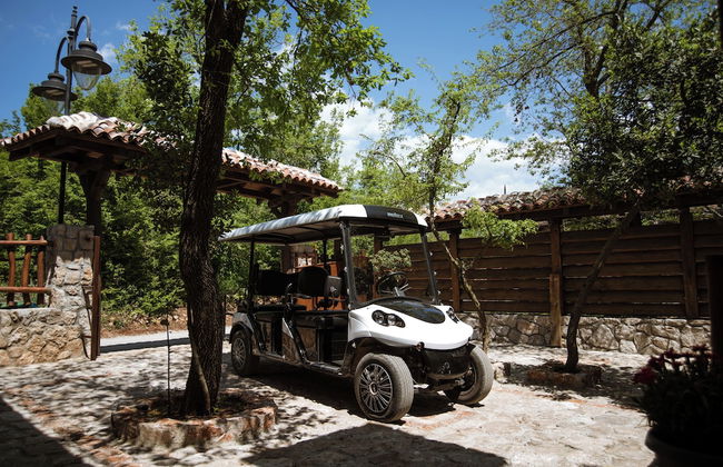 Carevic Resort & Villas - Foto 63