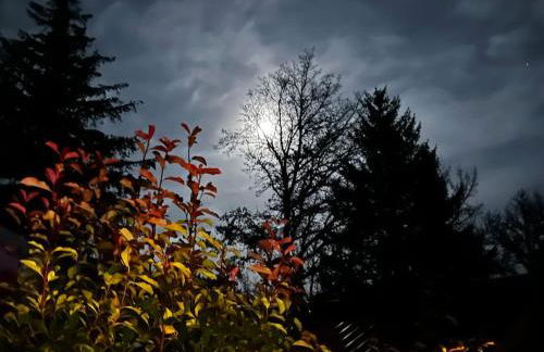 Gîte au bord du lac - Photo 36