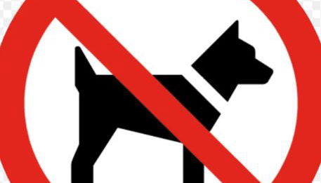 A y A apartamento - Foto 2