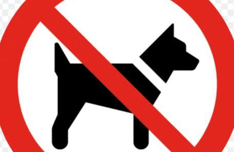 A y A apartamento - Foto 2