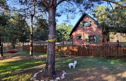 Pożarowo domek na mazowszu - Foto 2