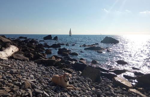 Cluxury-Torre dei Saraceni BOUTIQUE APT BY THE SEA Beach, Pool,Private Jacuzzi, Parking - Foto 29